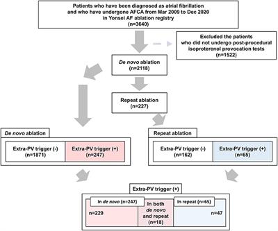 Extra-Pulmonary Vein Triggers at de novo and the Repeat Atrial Fibrillation Catheter Ablation